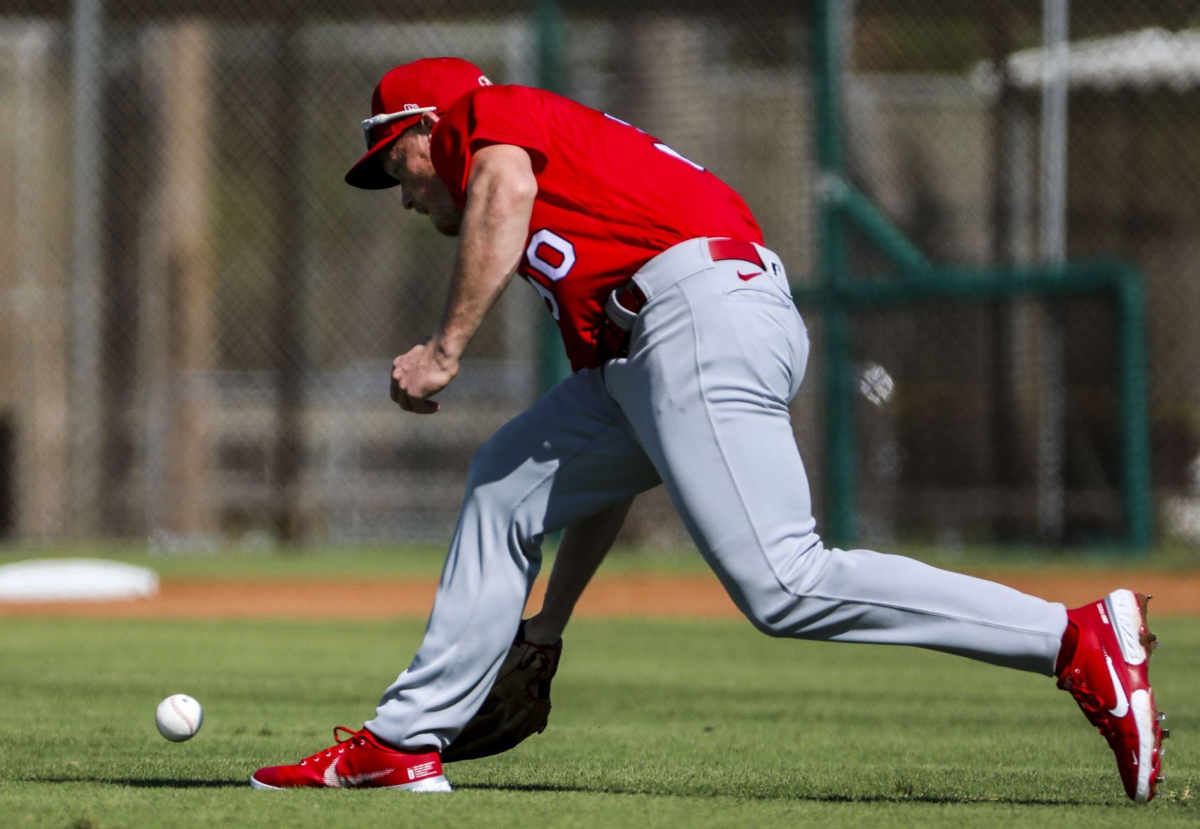 Second day of Cardinals full squad workouts